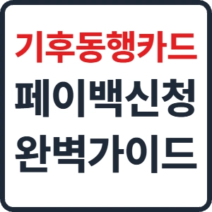 기후동행카드 페이백 신청 방법부터 플러스 패스 교환까지 완벽 정리